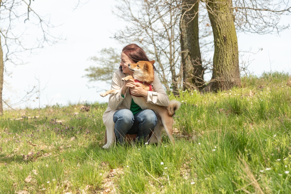 Girl,On,A,Walk,With,A,Dog,On,A,Sunny